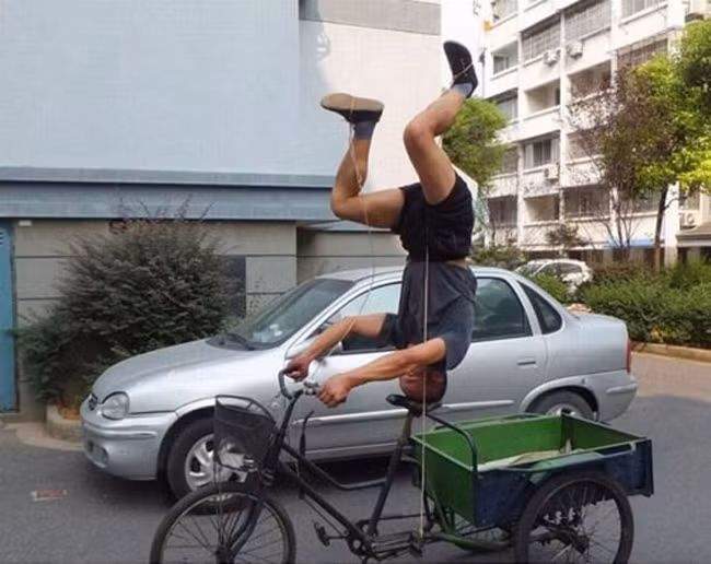 nga ngua voi nhung hinh anh kho do tren pho