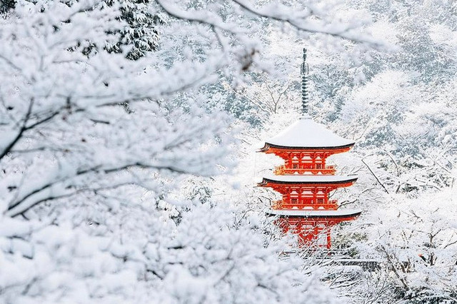 tuyet roi day bien co do nuoc nhat thanh xu than tien