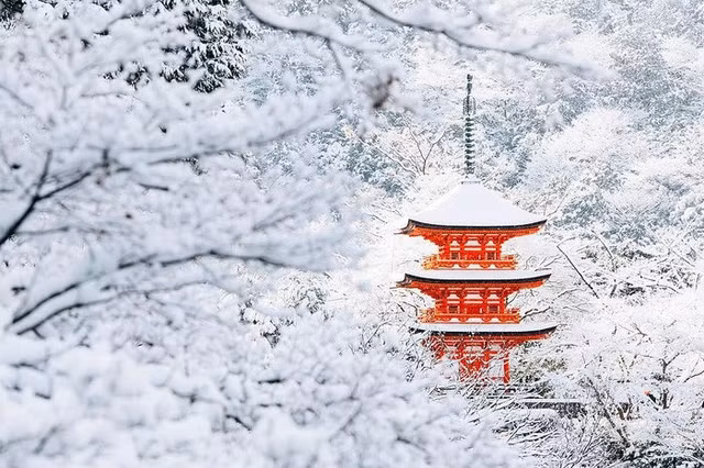 tuyet roi day bien co do nuoc nhat thanh xu than tien