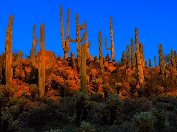 bo anh tuyet dep ve cong vien quoc gia my