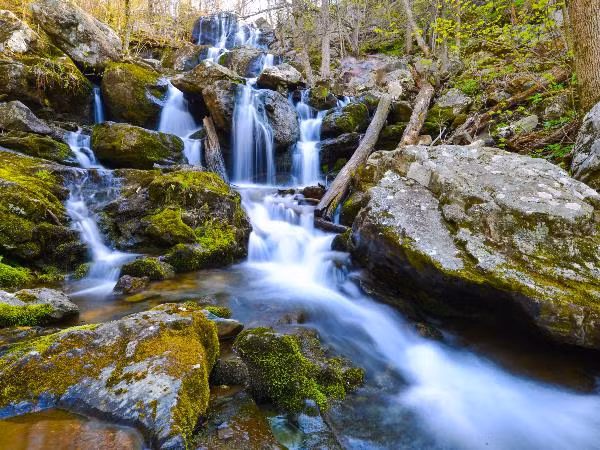 bo anh tuyet dep ve cong vien quoc gia my