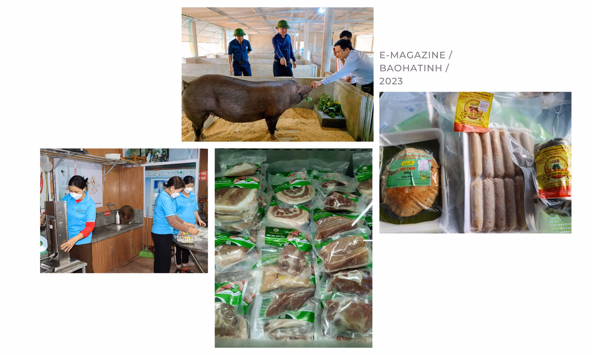 Xây dựng NTM ở Hà Tĩnh: Đi vào chiều sâu, hiệu quả và bền vững (Bài 2): Phát triển kinh tế nông thôn theo hướng hiện đại, hội nhập