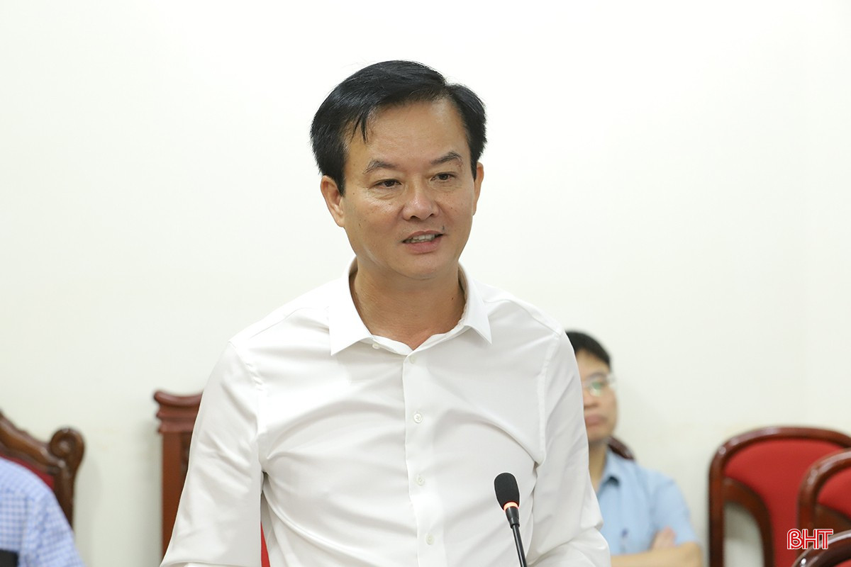 Phó Chủ tịch UBND tỉnh Trần Báu Hà tham gia ý kiến tại cuộc họp. bqbht_br_cang-bien-02a.jpg
