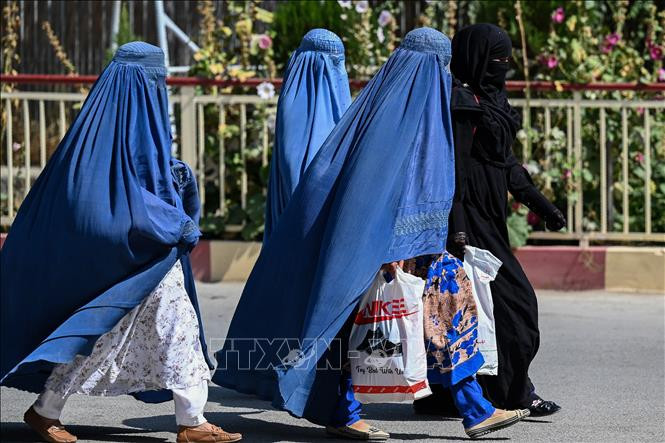 Chính quyền Taliban bắt giữ 18 nhân viên NGO tại Afghanistan