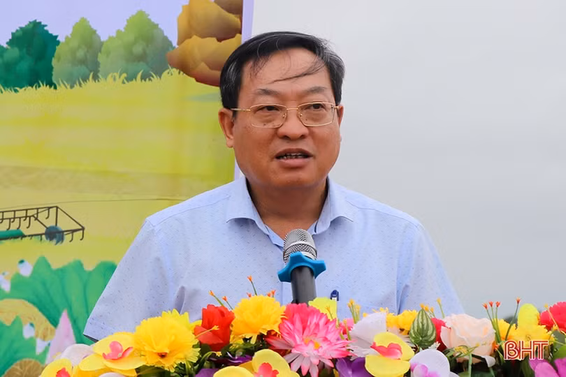 Can Lộc phấn đấu tích tụ hơn 3.800 ha ruộng đất trong vụ xuân 2024