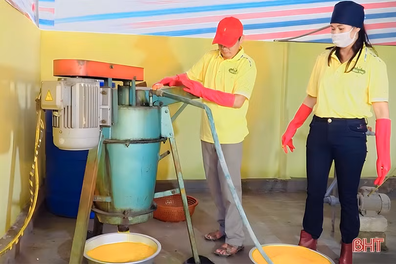 Hành trình đưa tinh bột nghệ Vũ Quang ra “biển lớn”