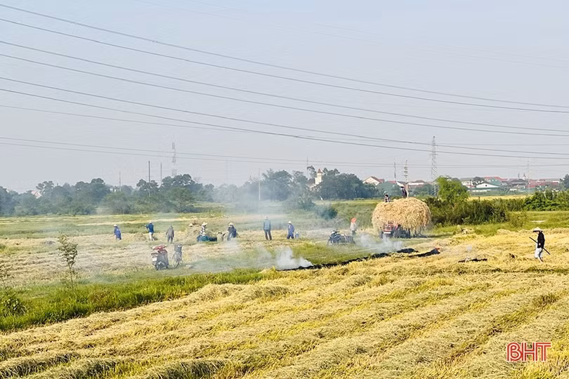 Đốt rơm rạ trên đồng ruộng - thói quen sai lầm nhiều bà con không biết!