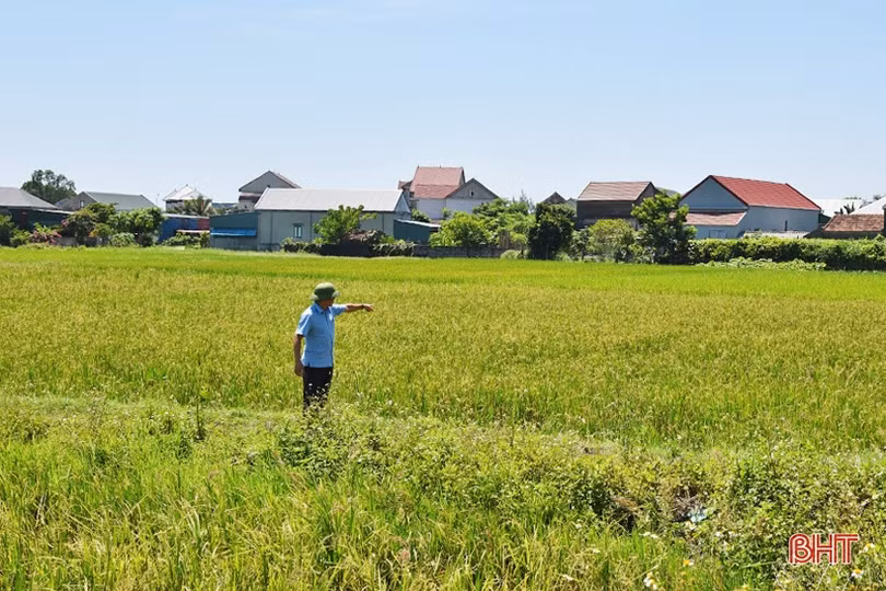 Cần sớm giải phóng mặt bằng đường trục kết nối đô thị trung tâm Kỳ Anh