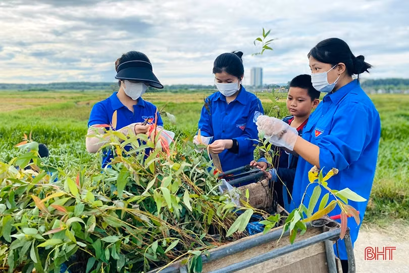 Hơn 4.000 ĐVTN Hà Tĩnh hưởng ứng Ngày Chủ nhật xanh lần thứ IV