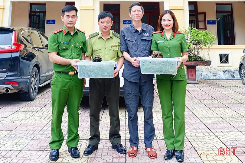 Bàn giao 2 cá thể rùa cho Vườn Quốc gia Cúc Phương