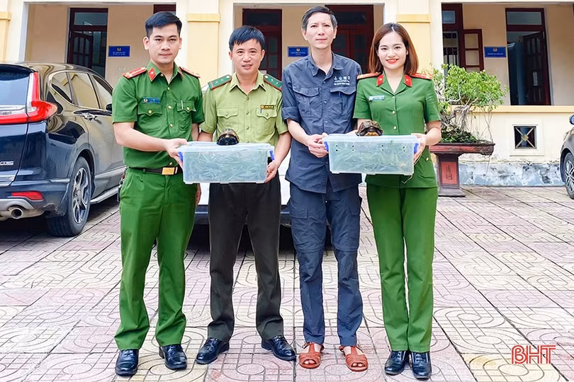 Bàn giao 2 cá thể rùa cho Vườn Quốc gia Cúc Phương