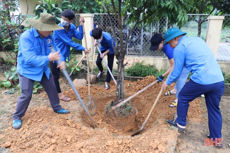 Hơn 4.000 ĐVTN Hà Tĩnh hưởng ứng Ngày Chủ nhật xanh lần thứ IV