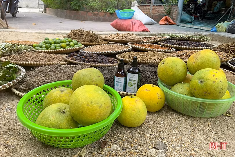 Phụ nữ Hà Tĩnh sôi nổi tham gia cuộc thi khởi nghiệp năm 2023