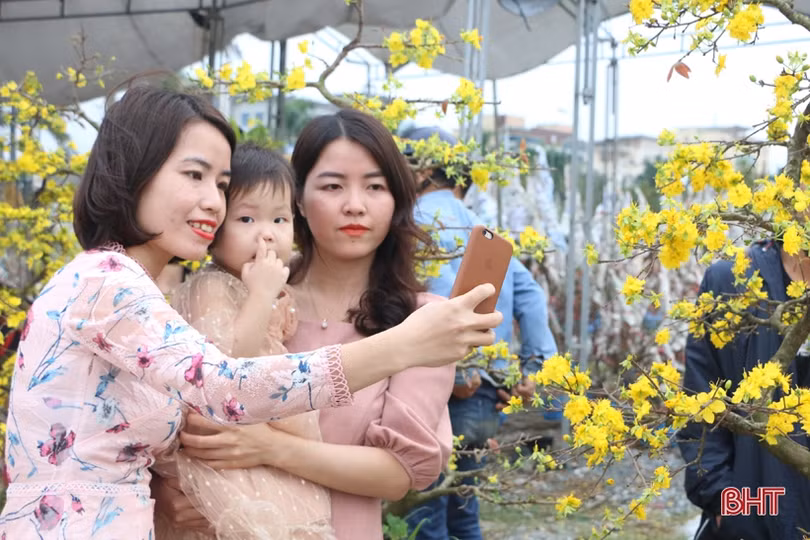 Ra phố hoa Hà Tĩnh mang Xuân về nhà