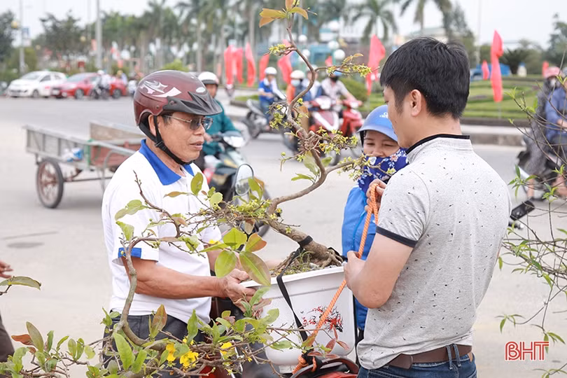 Phố hoa Hà Tĩnh chiều 30 tết: Mai “sạch trơn”, đào và quất hạ giá