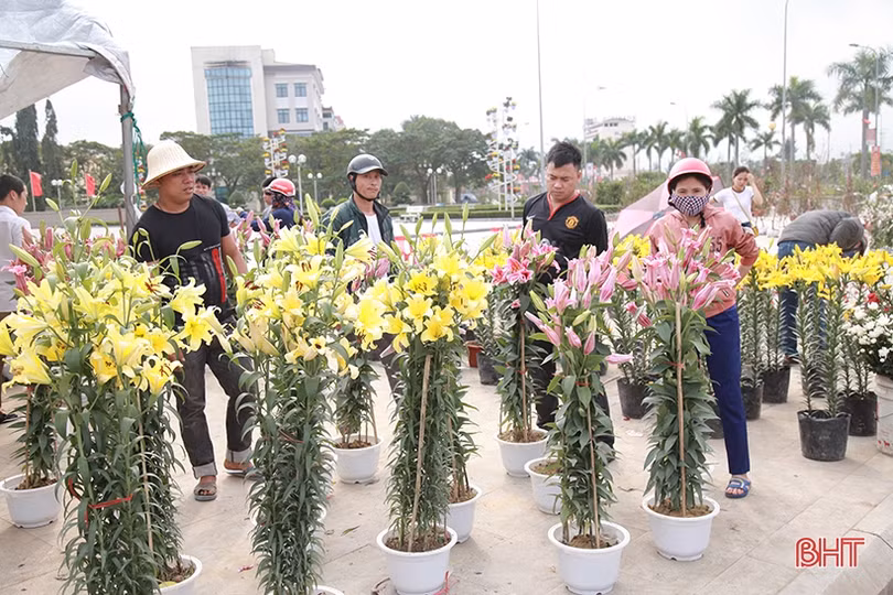 Phố hoa Hà Tĩnh chiều 30 tết: Mai “sạch trơn”, đào và quất hạ giá