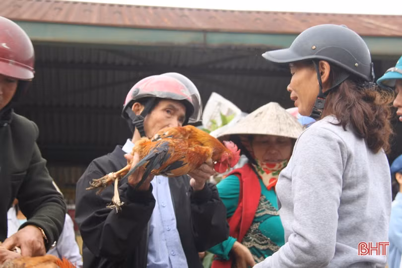 Náo nức phiên chợ tết những ngày cuối năm ở Hà Tĩnh