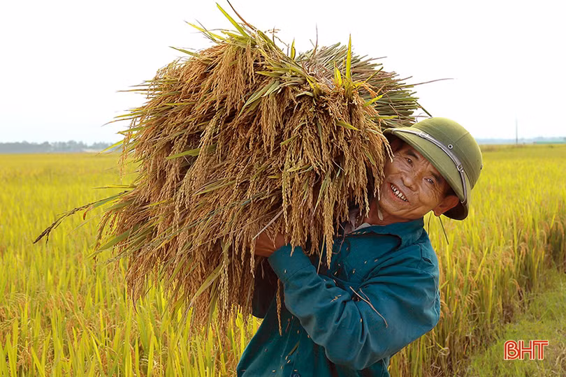 “Bà con chung sức, doanh nghiệp đồng hành, khó khăn mấy sản xuất nông nghiệp cũng vượt qua”