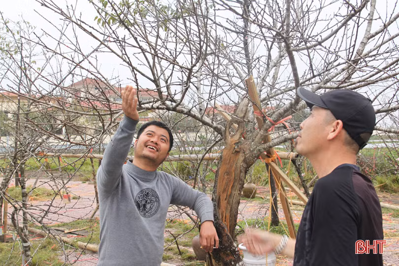 Những người “nằm sương” mang xuân về phố ở Hà Tĩnh
