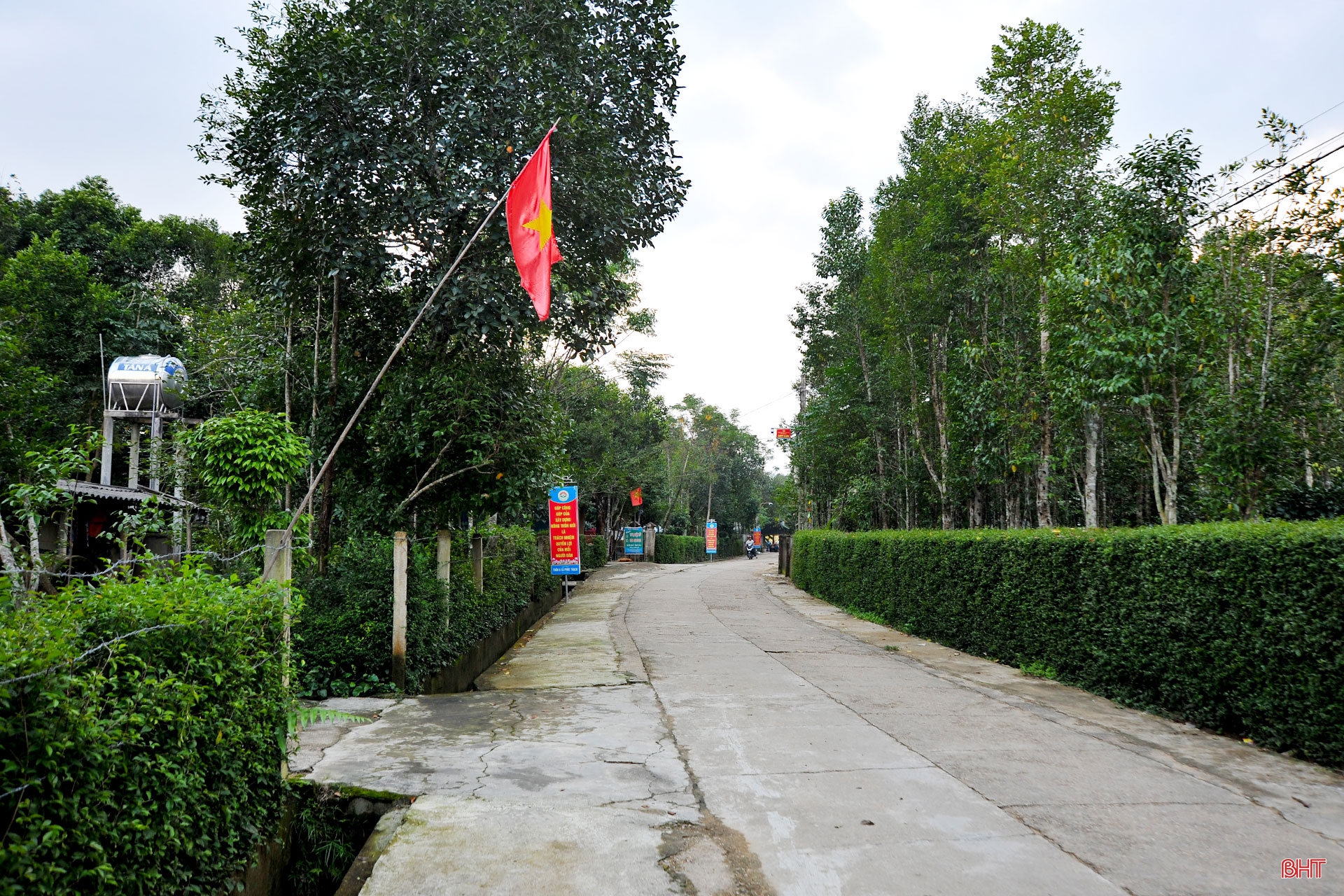 Về làng đục dó tìm trầm ở Hà Tĩnh