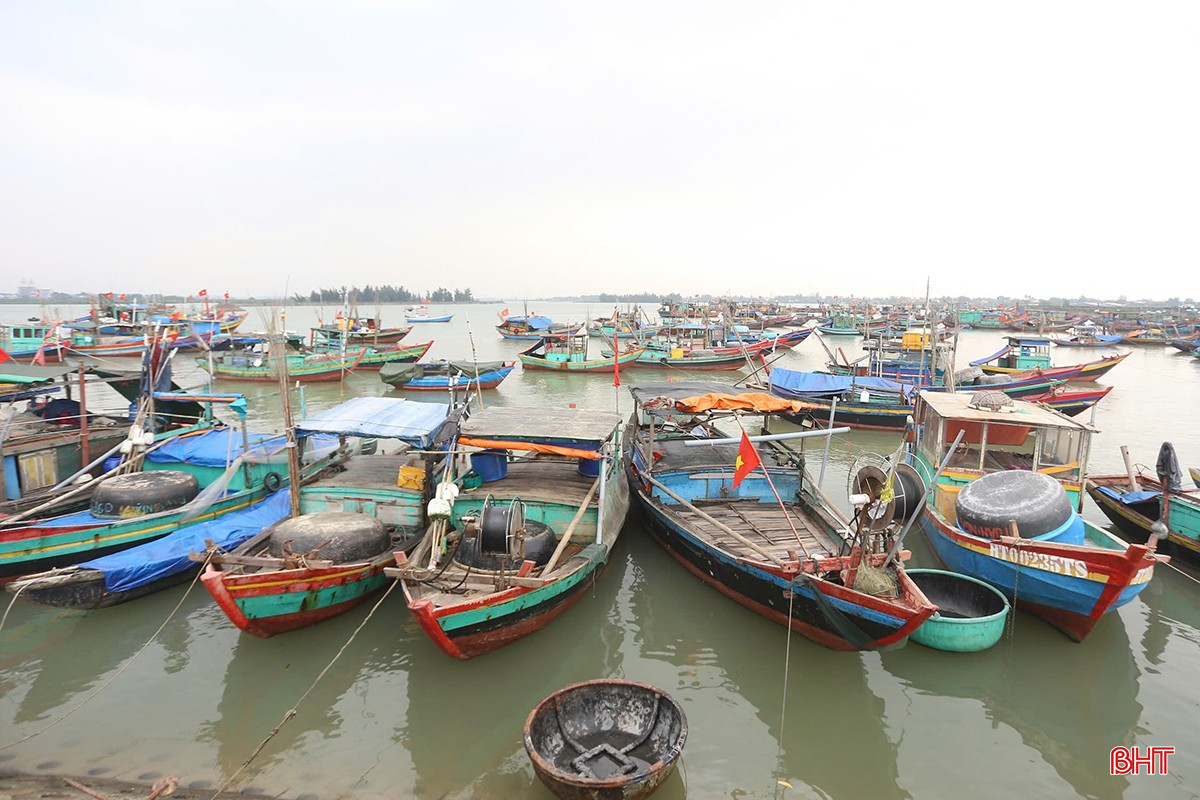 Những ngày cuối năm, người dân ở các vùng biển Hà Tĩnh đang miệt mài mưu sinh. Với họ, biển cả không chỉ là nơi nuôi sống họ hằng ngày mà còn là quê hương, là máu thịt, là hơi thở của cuộc đời.