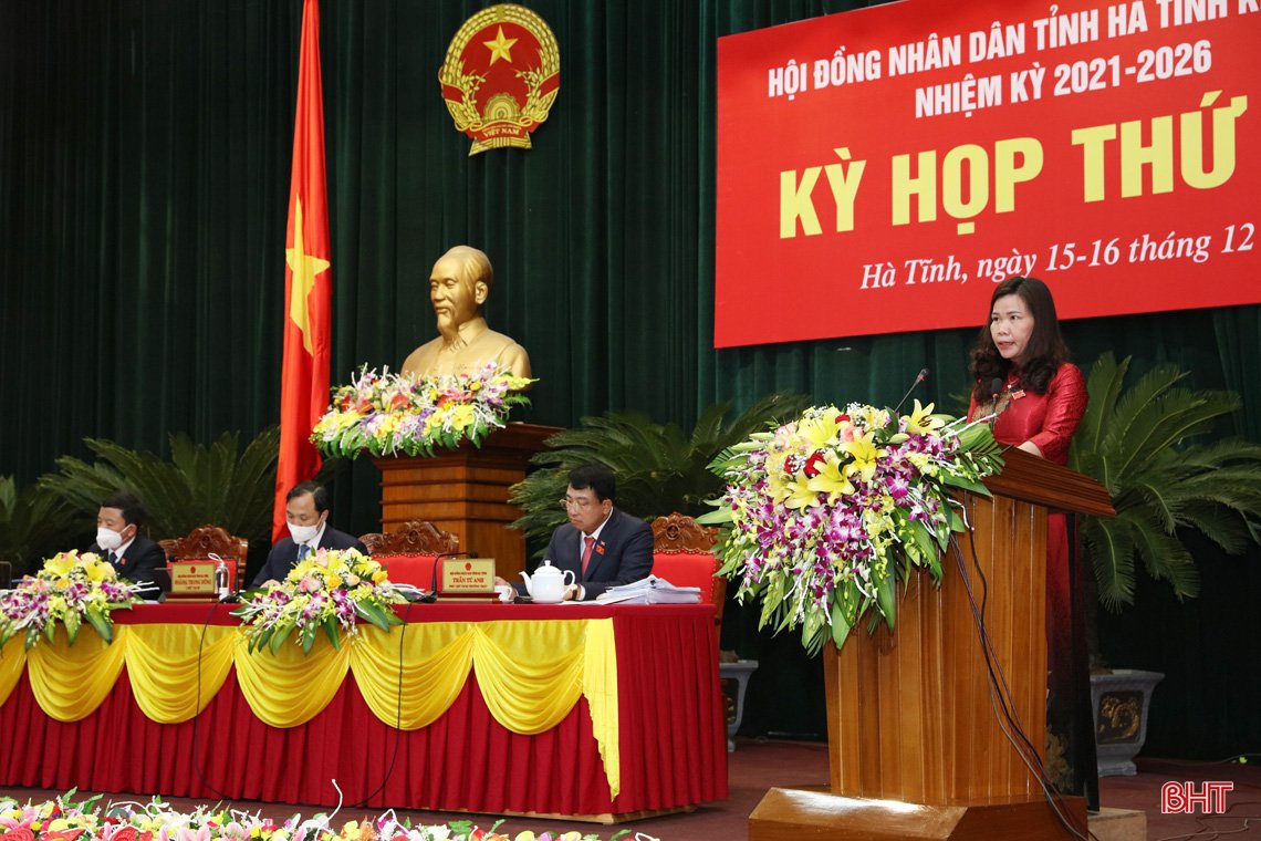 Đại biểu HĐND tỉnh Hà Tĩnh tâm huyết góp ý các báo cáo, dự thảo nghị quyết