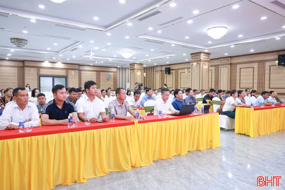 Nâng cao năng lực quản trị và kỹ năng số cho cán bộ hợp tác xã