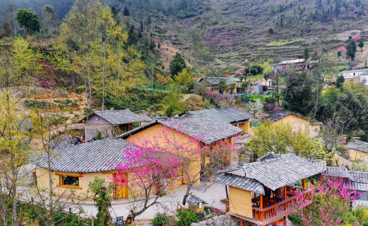 Hoa đào nở muộn ở Hà Giang