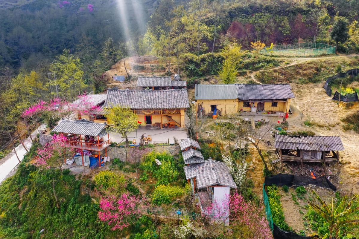 Hoa đào nở muộn ở Hà Giang