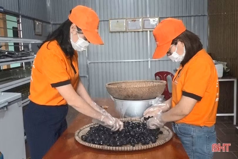 Nữ cán bộ đoàn khởi nghiệp từ “đặc sản” trám đen Hương Sơn