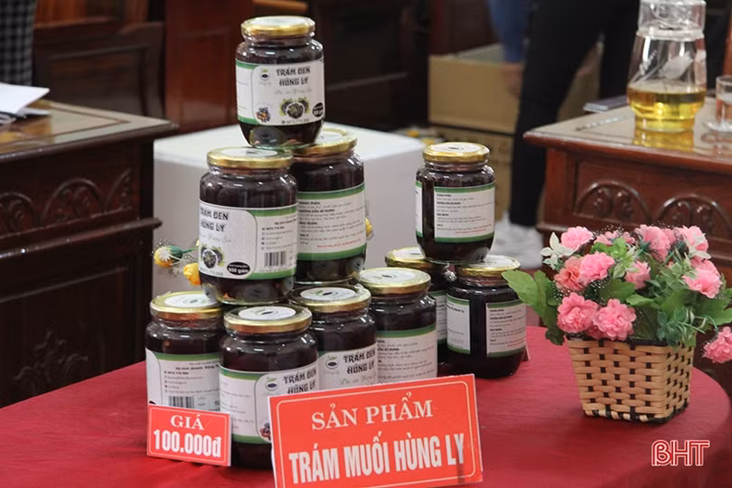 Nữ cán bộ đoàn khởi nghiệp từ “đặc sản” trám đen Hương Sơn