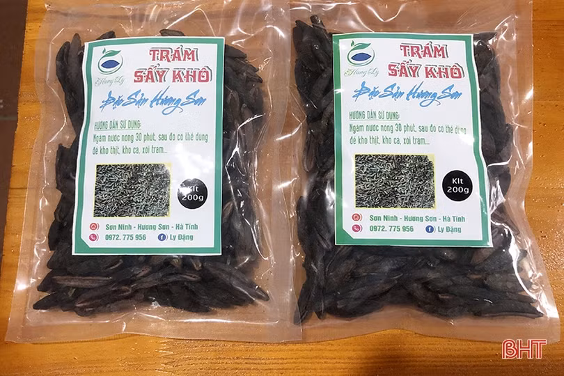 Nữ cán bộ đoàn khởi nghiệp từ “đặc sản” trám đen Hương Sơn