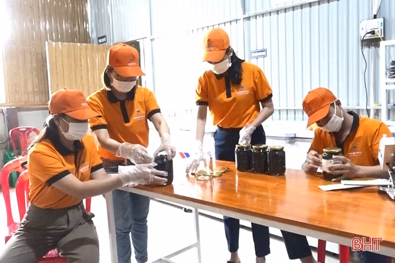 Nữ cán bộ đoàn khởi nghiệp từ “đặc sản” trám đen Hương Sơn