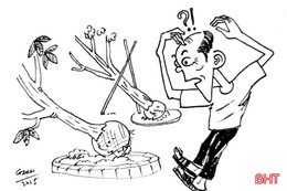 Trồng cái cây cũng theo kiểu “ăn nhanh”