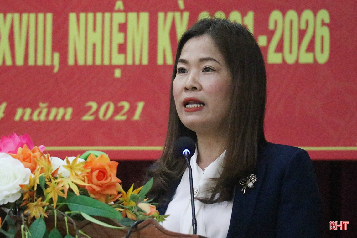 Hà Tĩnh gặp mặt các ứng viên đại biểu Quốc hội, đại biểu HĐND tỉnh