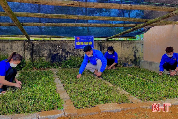 Tuổi trẻ Hà Tĩnh sôi nổi hưởng ứng ngày cao điểm xây dựng nông thôn mới