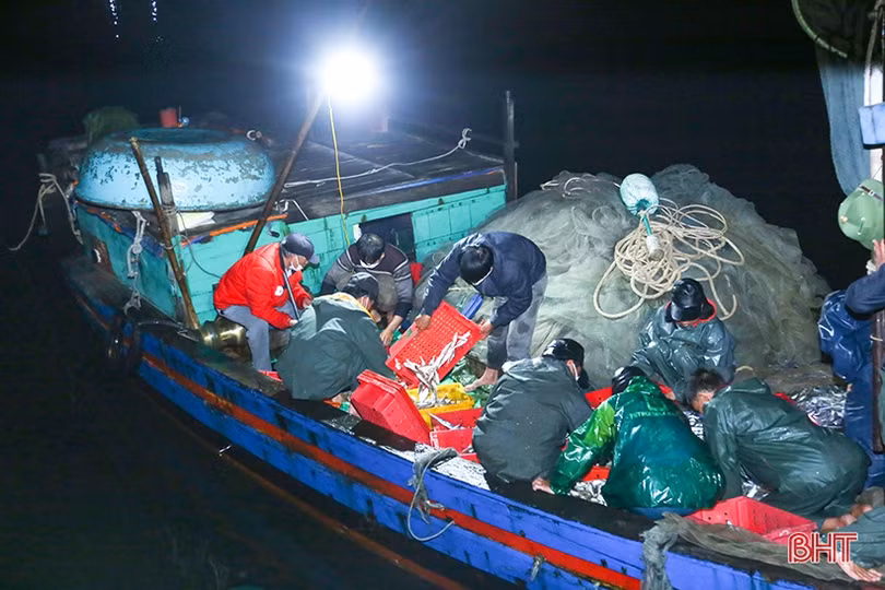 “Vượt khó” bám biển, ngư dân Hà Tĩnh thu về nhiều hải sản