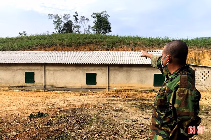 Khám phá trang trại nuôi dê Boer lớn nhất Hà Tĩnh