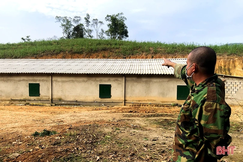 Khám phá trang trại nuôi dê Boer lớn nhất Hà Tĩnh