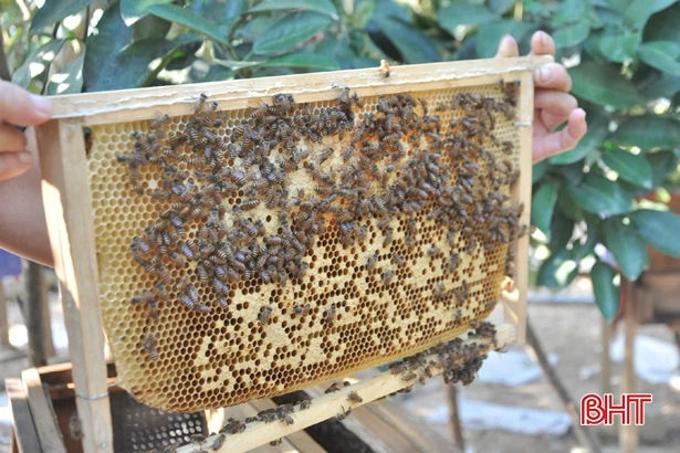 Can Lộc xây dựng thêm 16 sản phẩm tham gia OCOP năm 2022