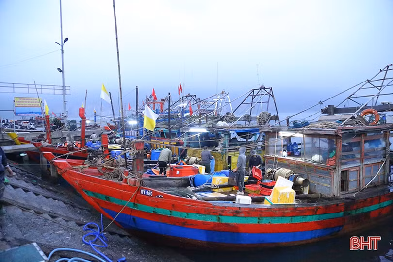 “Vượt khó” bám biển, ngư dân Hà Tĩnh thu về nhiều hải sản