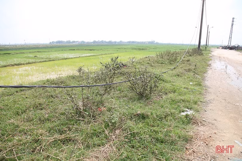 Rác thải xây dựng đổ tràn lan trong cụm công nghiệp Thạch Đồng