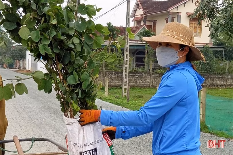 Phụ nữ Hà Tĩnh thi đua chào mừng thành công Đại hội Đại biểu Phụ nữ toàn quốc 