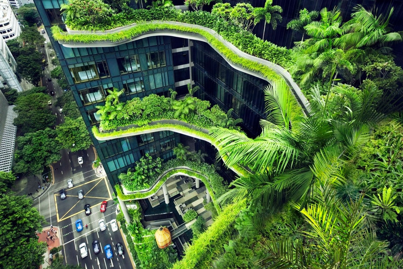 Singapore phủ xanh thành phố ra sao?