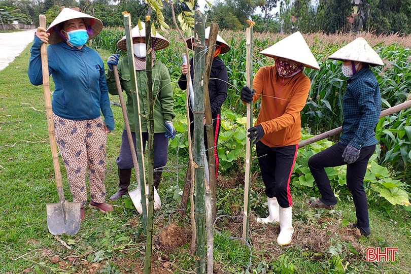 Phụ nữ Hà Tĩnh thi đua chào mừng thành công Đại hội Đại biểu Phụ nữ toàn quốc 