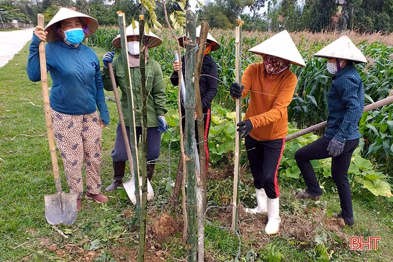 Phụ nữ Hà Tĩnh thi đua chào mừng thành công Đại hội Đại biểu Phụ nữ toàn quốc 