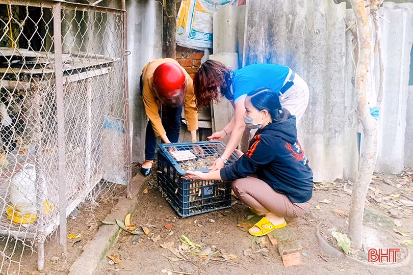 Phụ nữ Hà Tĩnh thi đua chào mừng thành công Đại hội Đại biểu Phụ nữ toàn quốc 