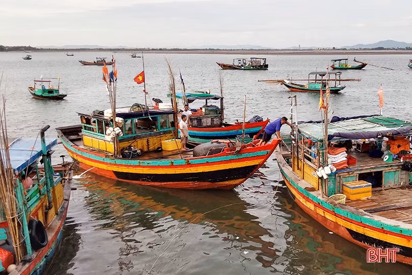 “Vượt khó” bám biển, ngư dân Hà Tĩnh thu về nhiều hải sản