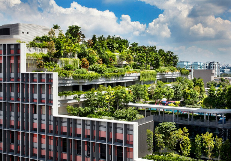 Singapore phủ xanh thành phố ra sao? - 3 Singapore phủ xanh thành phố ra sao?