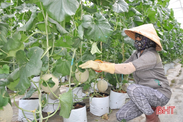 Nguồn vốn huy động lẫn dư nợ của Agribank Hà Tĩnh II tăng trưởng khá